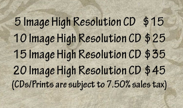 CDoptions